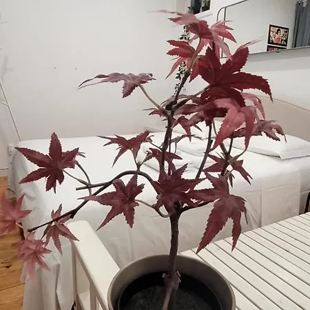 منزل للإقامة Varanda Privada Iroom *