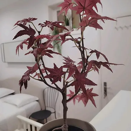 Varanda Privada Iroom Habitación en casa particular