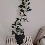 Varanda Privada Iroom Habitación en casa particular