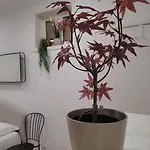 Séjour chez l'habitant Varanda Privada Iroom Lisboa