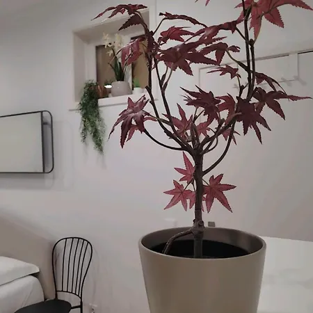 Accommodatie bij particulieren Varanda Privada Iroom Lissabon